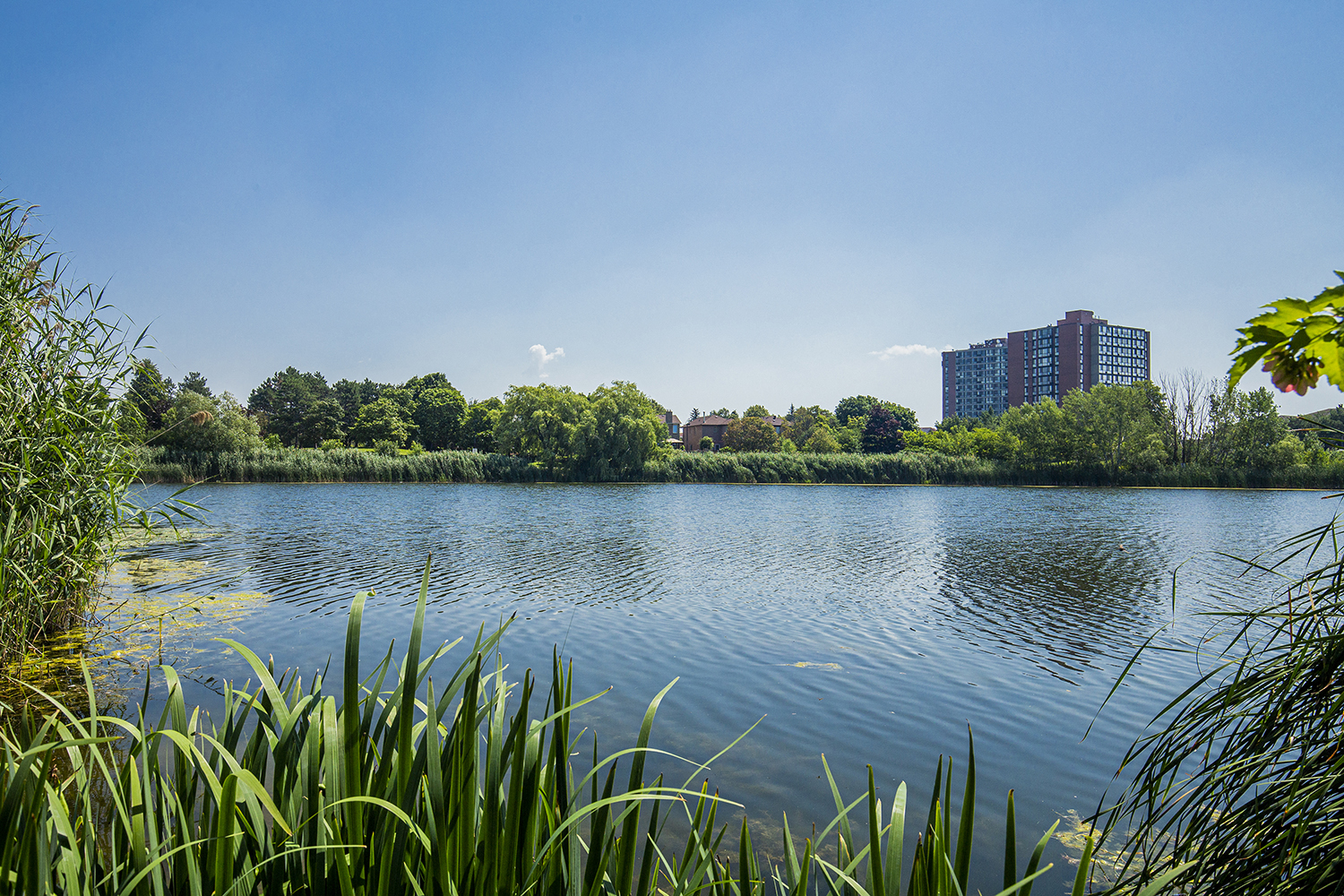 Lake Aquitaine